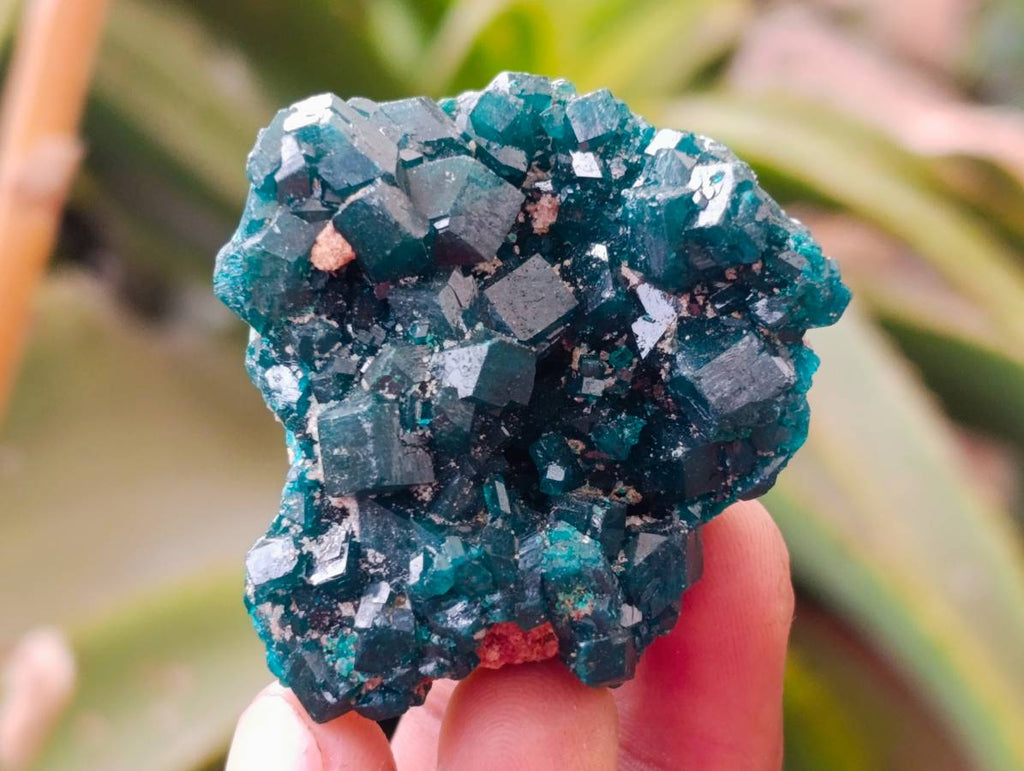 Natural Dioptase On Dolomite Specimens x 12 From Likasi, Congo - Toprock Gemstones and Minerals 