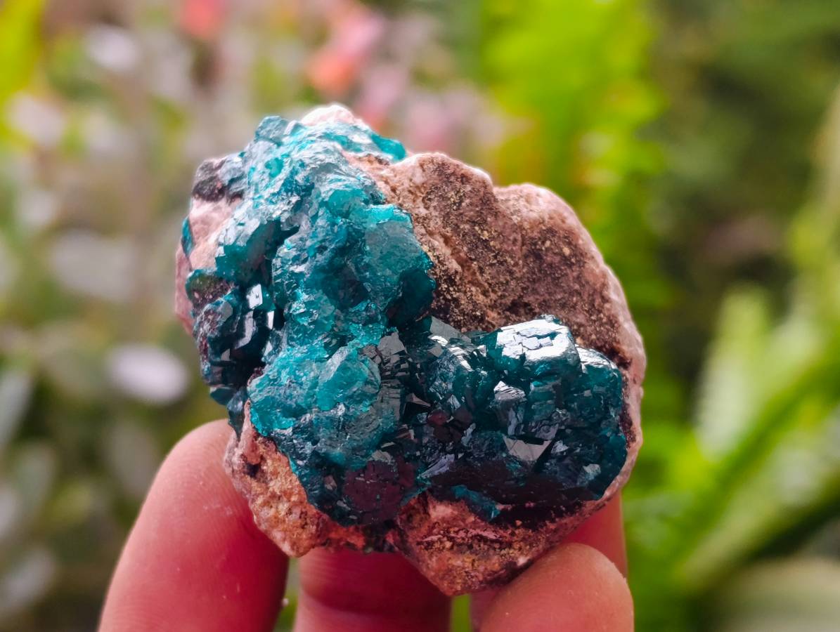 Natural Dioptase On Dolomite Specimens x 12 From Likasi, Congo - Toprock Gemstones and Minerals 