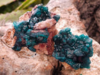 Natural Dioptase On Dolomite Specimens x 12 From Likasi, Congo - Toprock Gemstones and Minerals 