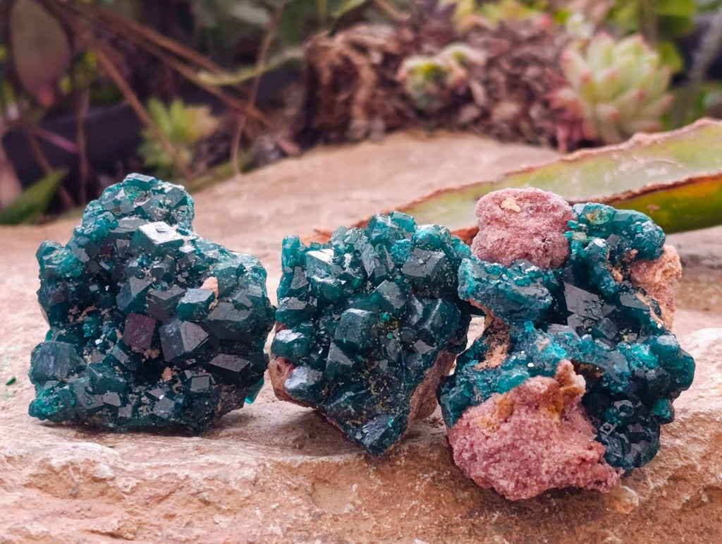 Natural Dioptase On Dolomite Specimens x 12 From Likasi, Congo - Toprock Gemstones and Minerals 