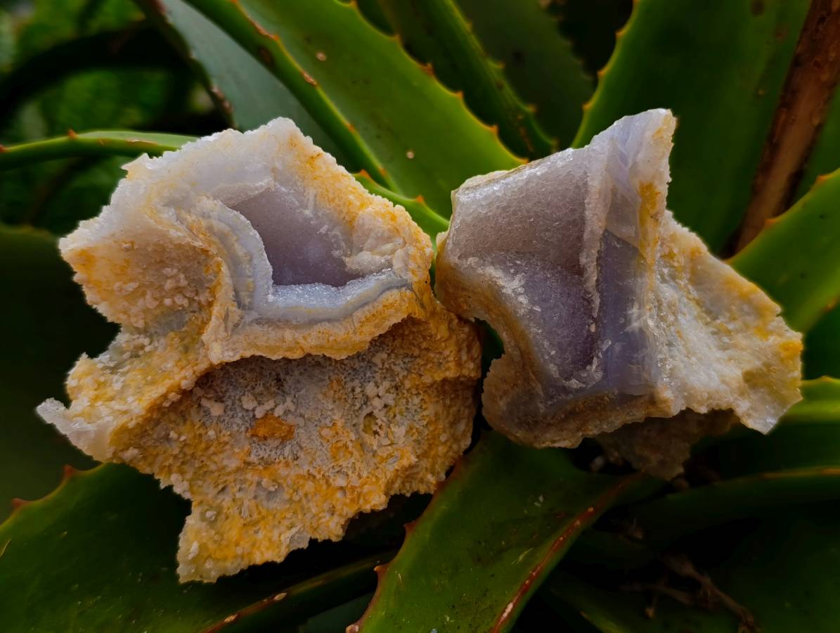 Natural Etched Blue Chalcedony Geodes x 6 From Nsanje, Malawi - Toprock Gemstones and Minerals 
