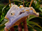 Natural Etched Blue Chalcedony Geodes x 6 From Nsanje, Malawi - Toprock Gemstones and Minerals 