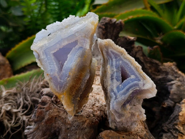 Natural Etched Blue Chalcedony Geodes x 6 From Nsanje, Malawi - Toprock Gemstones and Minerals 
