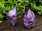 Polished Chevron Amethyst Points x 2 From Zambia - Toprock Gemstones and Minerals 