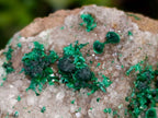 Natural Ball Malachite and Drusy Quartz On Dolomite Matrix Specimens x 3 From Kambove, Congo - Toprock Gemstones and Minerals 