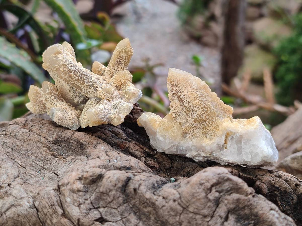 Natural Solar Spirit Quartz Crystals & Clusters x 30 From Boekenhouthoek, South Africa - Toprock Gemstones and Minerals 