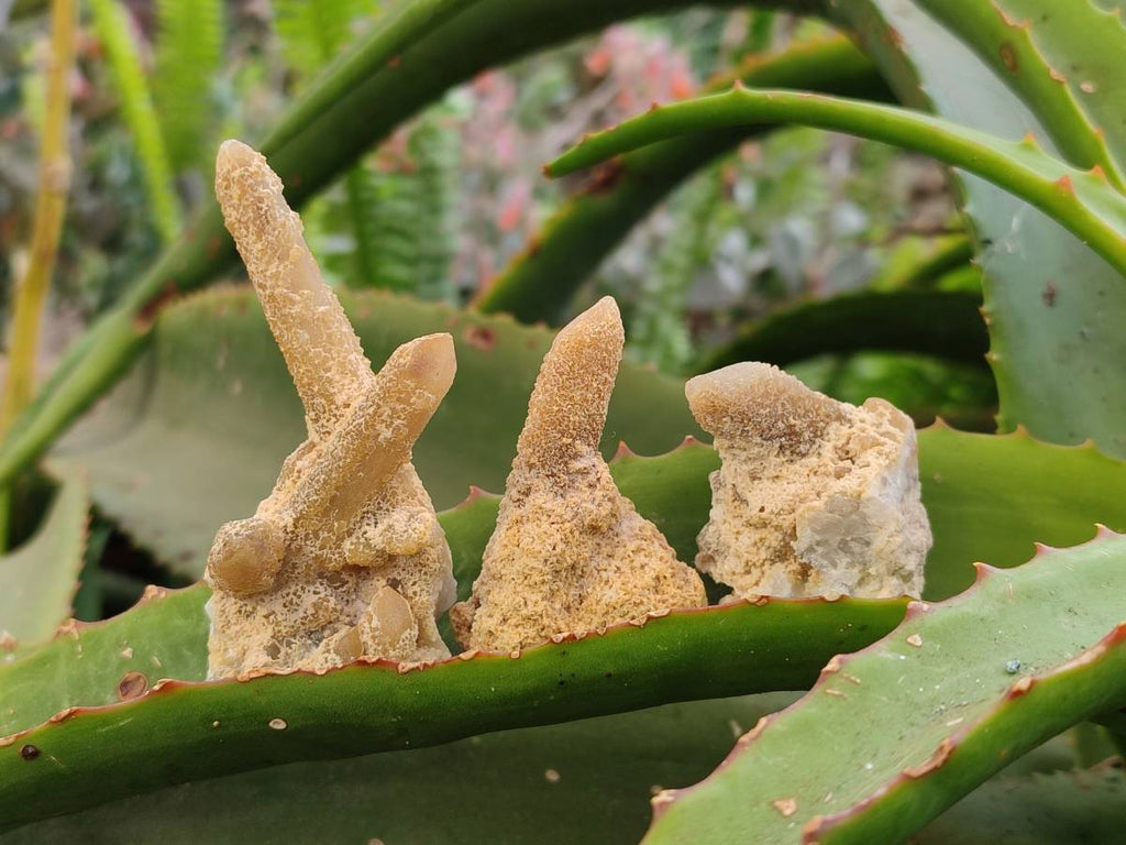 Natural Solar Spirit Quartz Crystals & Clusters x 30 From Boekenhouthoek, South Africa - Toprock Gemstones and Minerals 