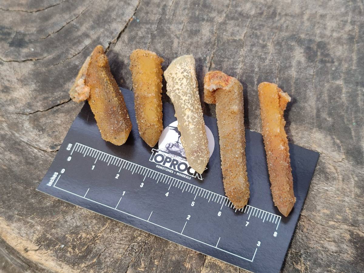 Natural Solar Spirit Quartz Crystals & Clusters x 30 From Boekenhouthoek, South Africa - Toprock Gemstones and Minerals 