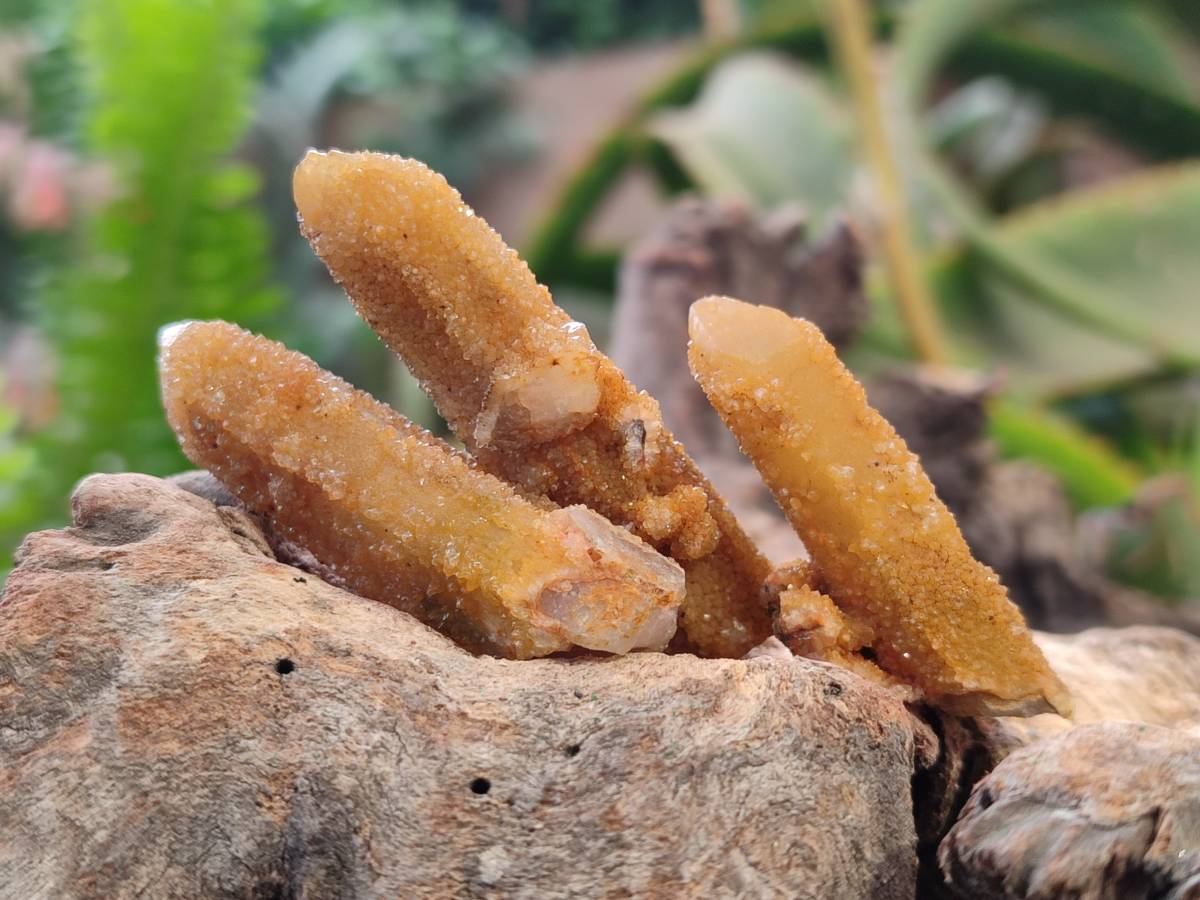 Natural Solar Spirit Quartz Crystals & Clusters x 30 From Boekenhouthoek, South Africa - Toprock Gemstones and Minerals 