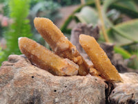 Natural Solar Spirit Quartz Crystals & Clusters x 30 From Boekenhouthoek, South Africa