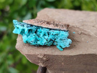 Natural Drusy Coated Chrysocolla with Malachite x 12 From Lupoto Mine, Congo
