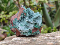 Natural Drusy Coated Chrysocolla with Malachite x 12 From Lupoto Mine, Congo