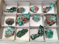 Natural Drusy Coated Chrysocolla with Malachite x 12 From Lupoto Mine, Congo