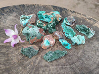 Natural Drusy Coated Chrysocolla with Malachite x 12 From Lupoto Mine, Congo