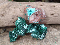 Natural Drusy Coated Chrysocolla with Malachite x 12 From Lupoto Mine, Congo