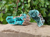 Natural Drusy Coated Chrysocolla with Malachite x 12 From Lupoto Mine, Congo
