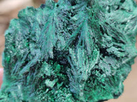 Natural Silky Malachite Specimens x 3 From Kasompe, Congo