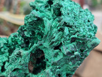 Natural Silky Malachite Specimens x 3 From Kasompe, Congo