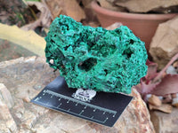 Natural Silky Malachite Specimens x 3 From Kasompe, Congo