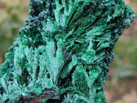 Natural Silky Malachite Specimens x 3 From Kasompe, Congo