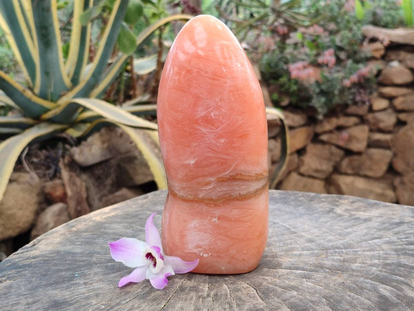 Polished Orange Twist Calcite Standing Free Form x 1 From Maevantanana, Madagascar