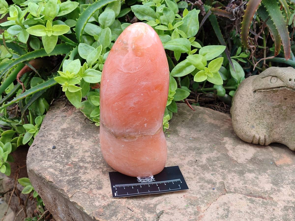 Polished Orange Twist Calcite Standing Free Form x 1 From Maevantanana, Madagascar - Toprock Gemstones and Minerals 