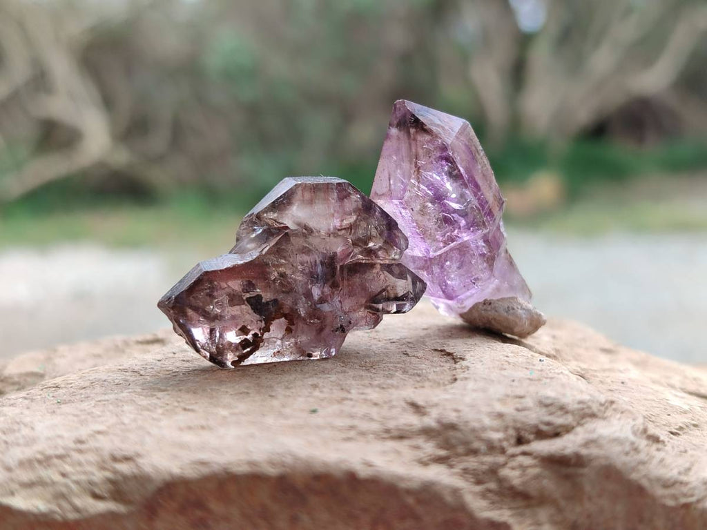 Natural Window Amethyst Crystals x 20 From Chiredzi, Zimbabwe - Toprock Gemstones and Minerals 