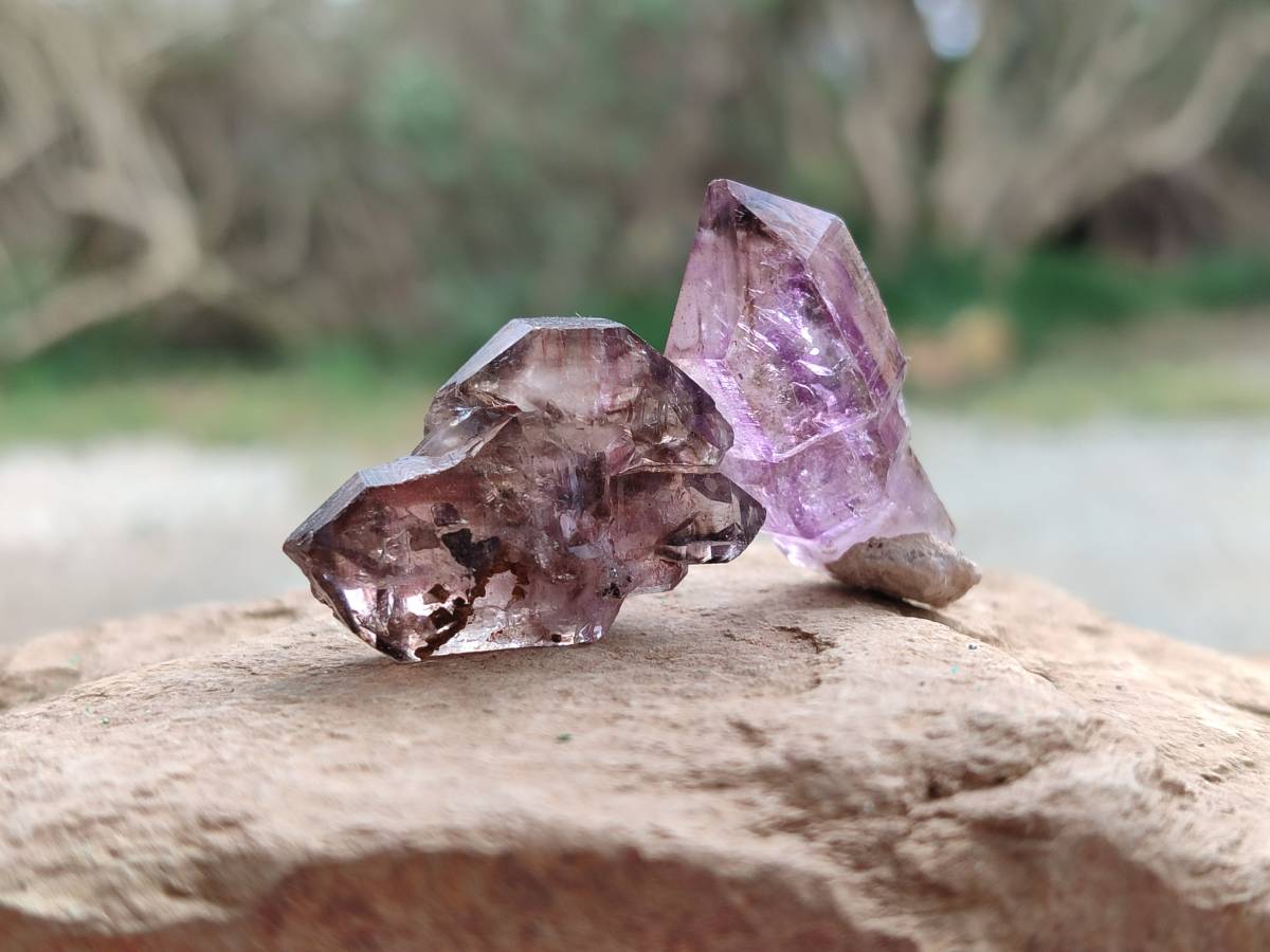 Natural Window Amethyst Crystals x 20 From Chiredzi, Zimbabwe - Toprock Gemstones and Minerals 