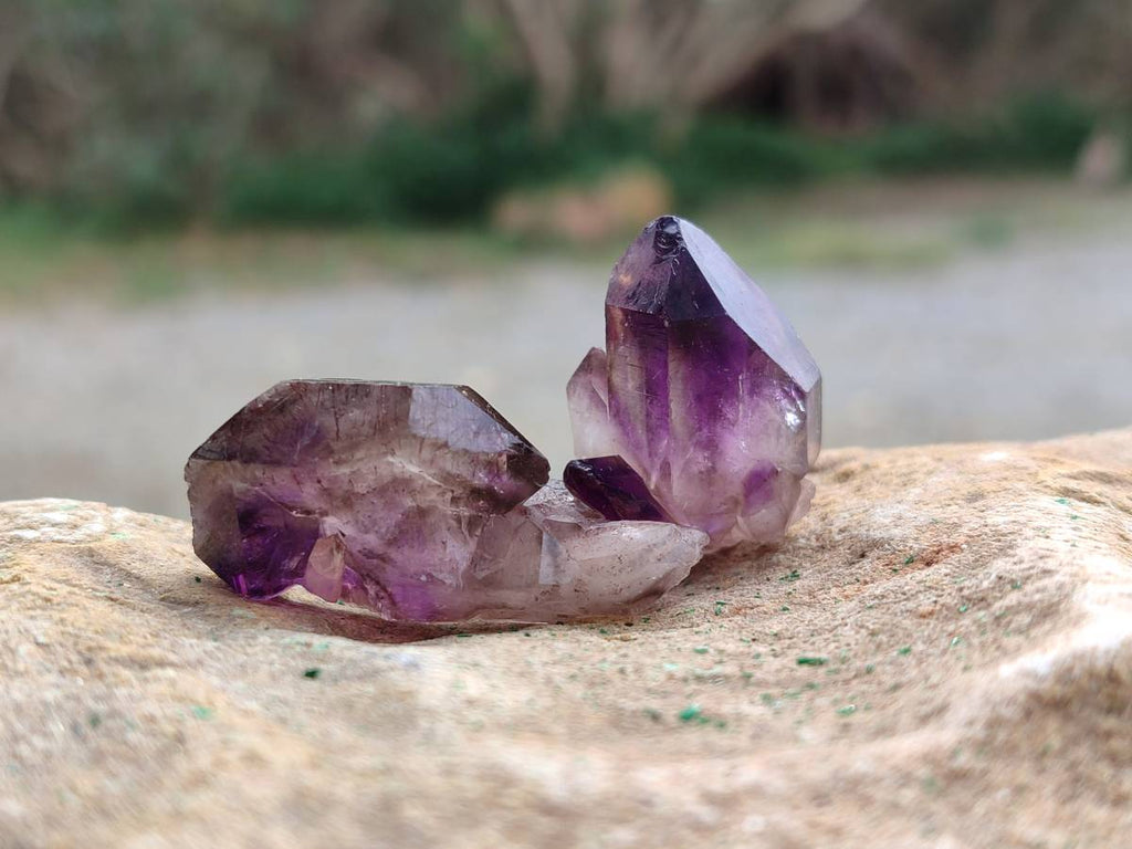 Natural Window Amethyst Crystals x 20 From Chiredzi, Zimbabwe - Toprock Gemstones and Minerals 