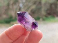 Natural Window Amethyst Crystals x 20 From Chiredzi, Zimbabwe
