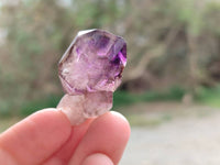 Natural Window Amethyst Crystals x 20 From Chiredzi, Zimbabwe