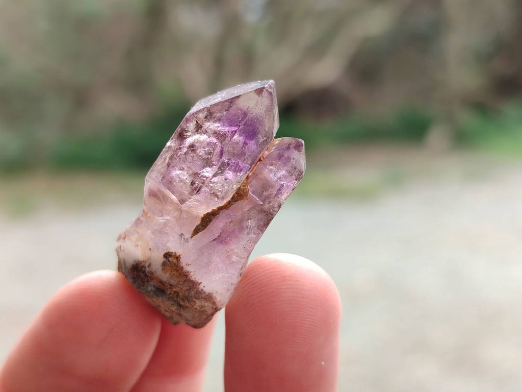 Natural Window Amethyst Crystals x 20 From Chiredzi, Zimbabwe - Toprock Gemstones and Minerals 