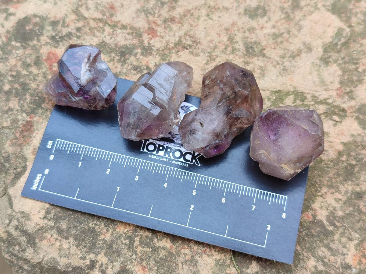 Natural Window Amethyst Crystals x 20 From Chiredzi, Zimbabwe - Toprock Gemstones and Minerals 