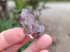 Natural Window Amethyst Crystals x 20 From Chiredzi, Zimbabwe - Toprock Gemstones and Minerals 