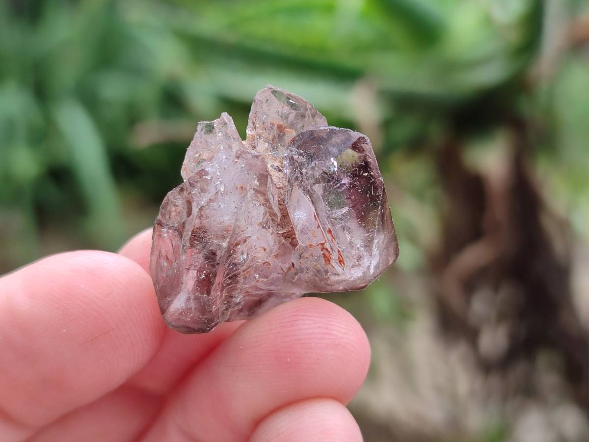 Natural Window Amethyst Crystals x 20 From Chiredzi, Zimbabwe - Toprock Gemstones and Minerals 