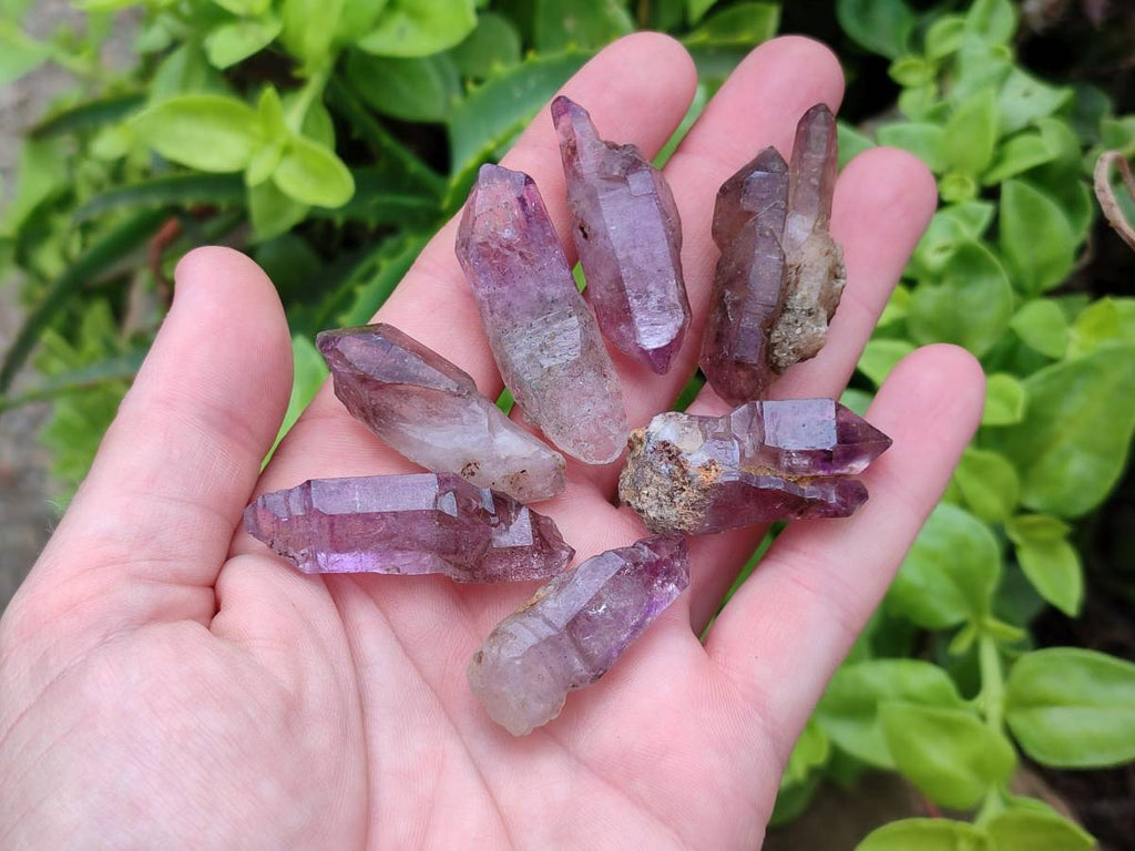 Natural Window Amethyst Crystals x 20 From Chiredzi, Zimbabwe - Toprock Gemstones and Minerals 