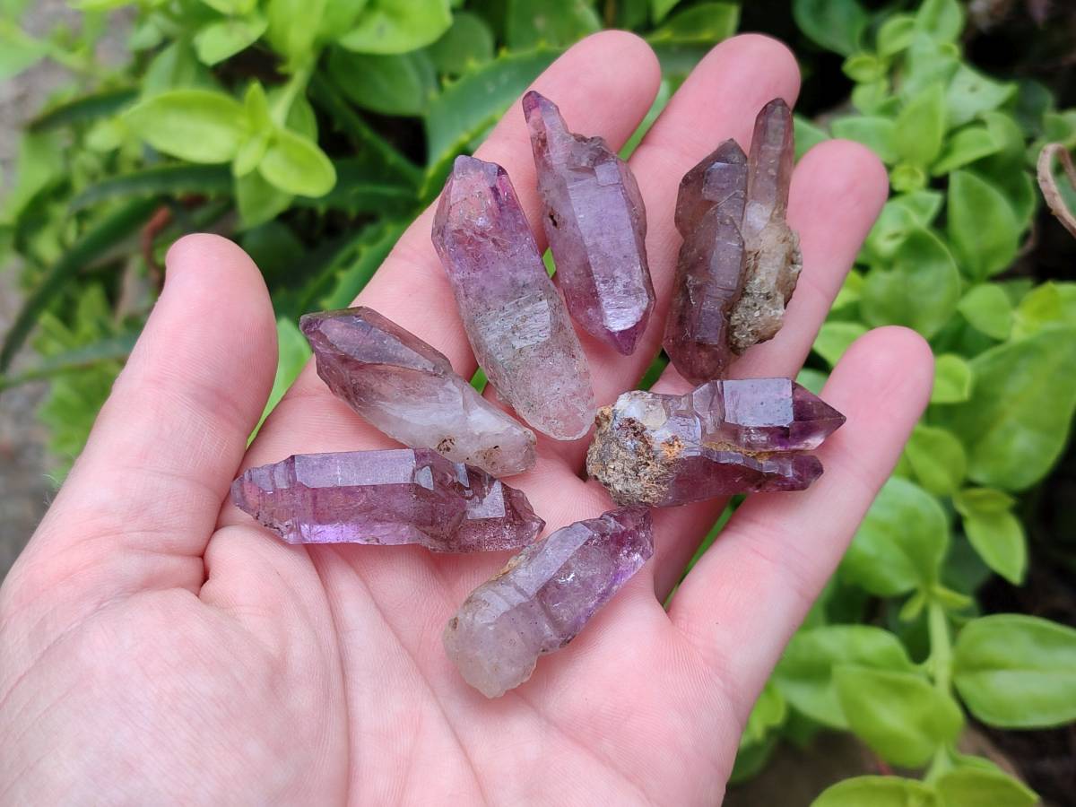 Natural Window Amethyst Crystals x 20 From Chiredzi, Zimbabwe - Toprock Gemstones and Minerals 