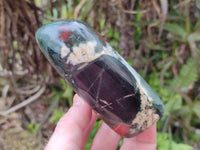 Polished Bloodstone Points x 3 From Swaziland