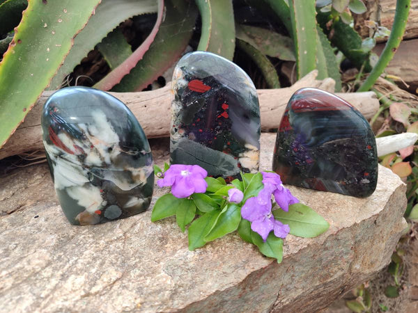 Polished Bloodstone Points x 3 From Swaziland