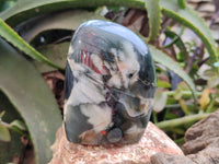Polished Bloodstone Points x 3 From Swaziland