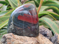Polished Bloodstone Points x 3 From Swaziland
