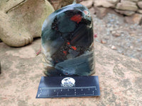Polished Bloodstone Points x 3 From Swaziland