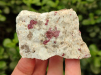 Natural Cobbed Rubellite Pink Tourmaline x 24 From Ambatondrazaka, Madagascar