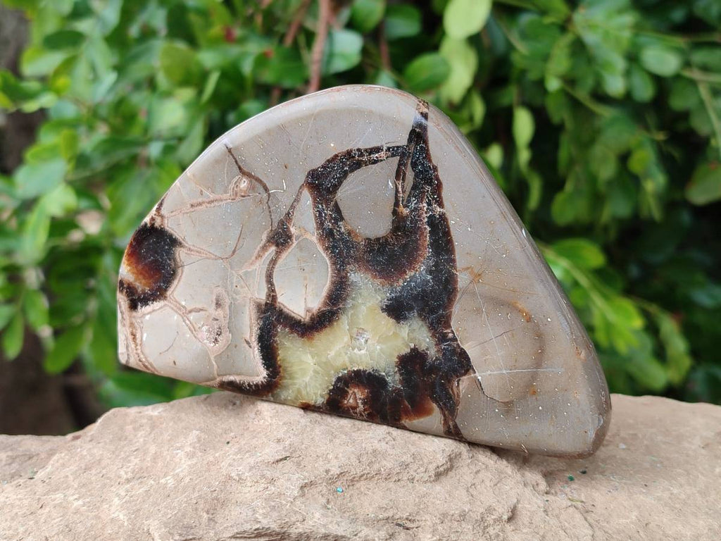 Polished Septerye Slices x 6 From Mahajanga, Madagascar - Toprock Gemstones and Minerals 