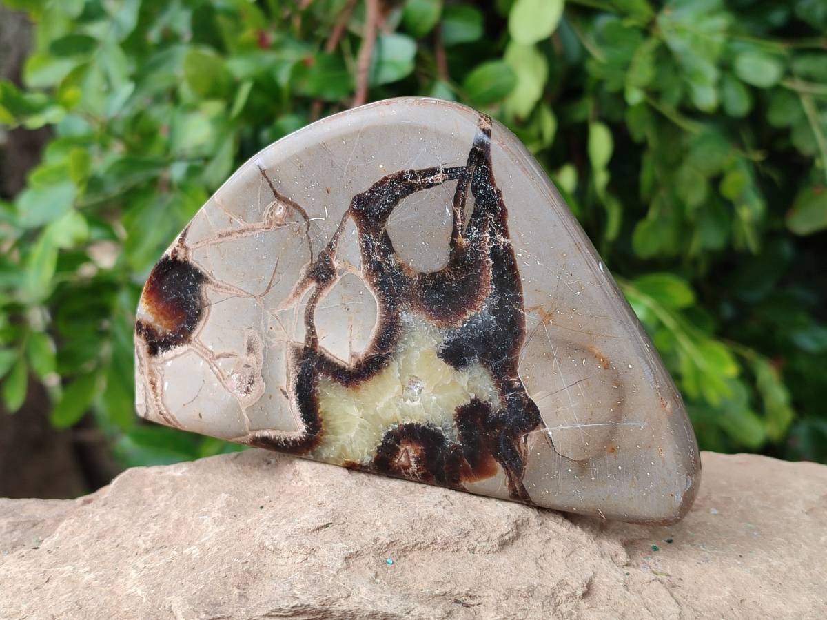 Polished Septerye Slices x 6 From Mahajanga, Madagascar - Toprock Gemstones and Minerals 