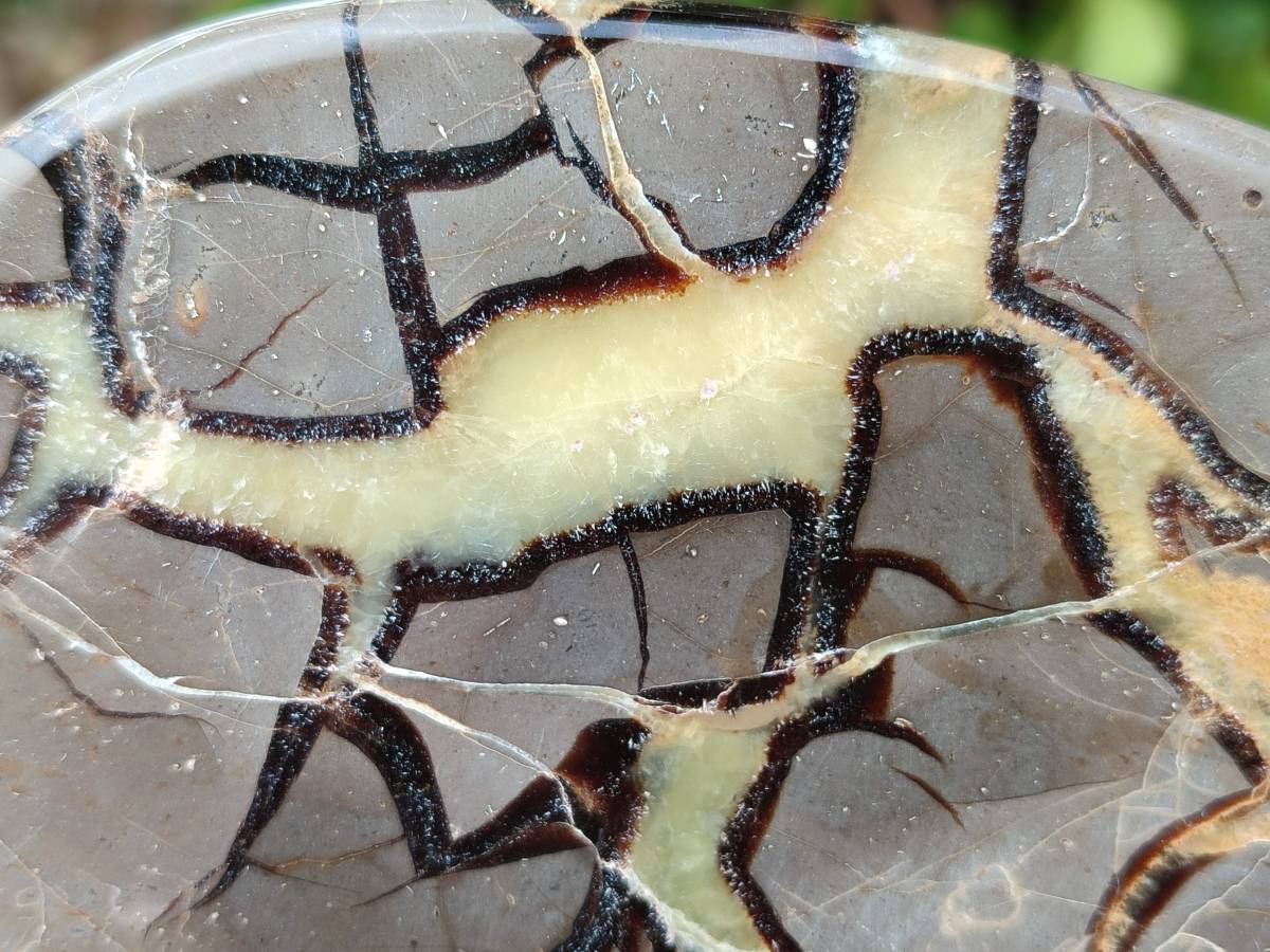 Polished Septerye Slices x 6 From Mahajanga, Madagascar - Toprock Gemstones and Minerals 