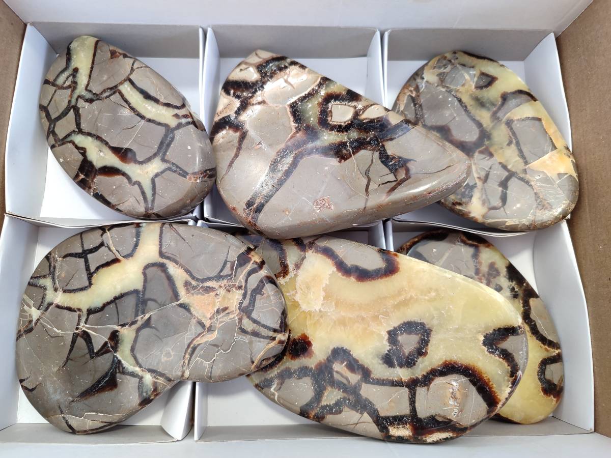 Polished Septerye Slices x 6 From Mahajanga, Madagascar - Toprock Gemstones and Minerals 