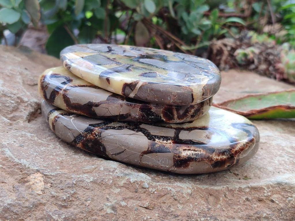 Polished Septerye Slices x 6 From Mahajanga, Madagascar - Toprock Gemstones and Minerals 