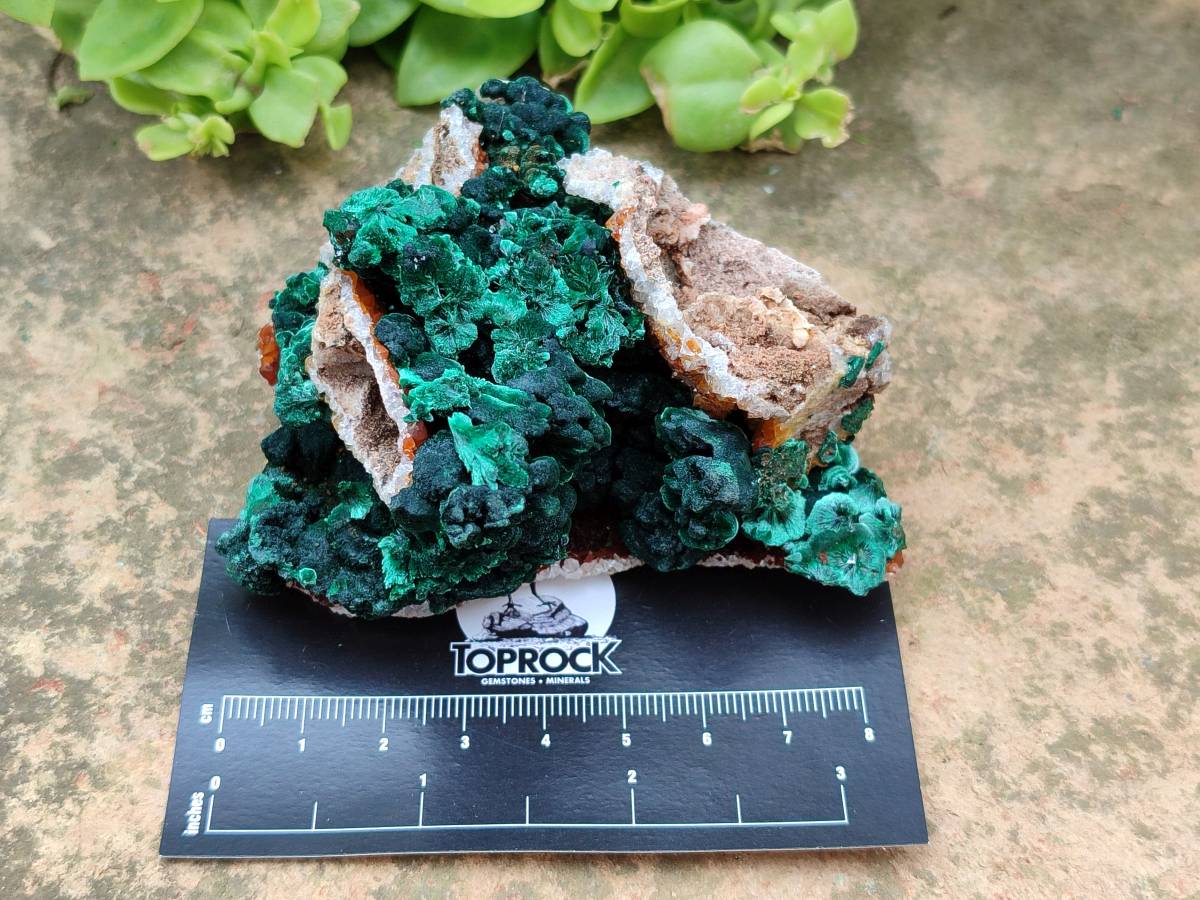 Natural Ball Malachite and Drusy Quartz On Dolomite Matrix Specimens x 6 From Kambove, Congo - Toprock Gemstones and Minerals 