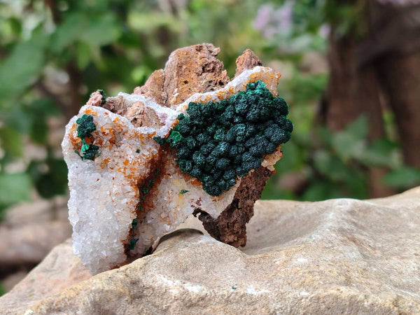 Natural Ball Malachite and Drusy Quartz On Dolomite Matrix Specimens x 6 From Kambove, Congo